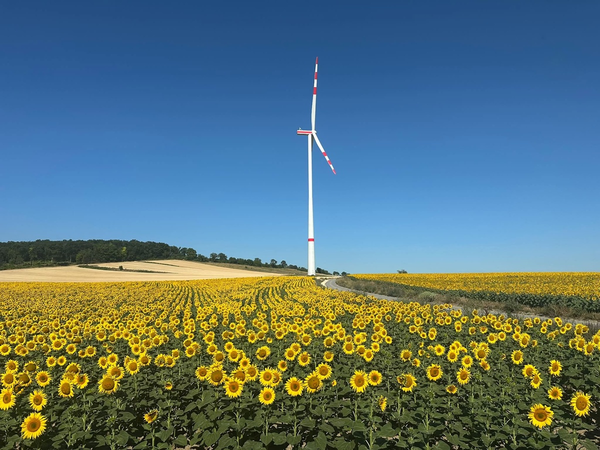 #37 Vestas V162 6.2MW wind turbine installed at Bad Pirawarth wind farm in Austria, courstey Bernhard Rauscher